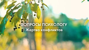жертва конфликтов
